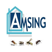 Amsing
